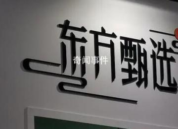 CEO被免東方甄選仍在掉粉 直播間粉絲量持續下滑
