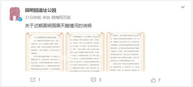 圓明園黑天鵝幼鵝不幸夭折 呼吁廣大朋友做大自然的觀察者不做干預(yù)者