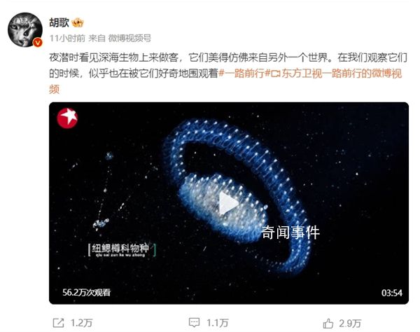 胡歌南海深潛撿回兩塊電池 親眼見(jiàn)證屬于海洋的垂直遷徙現(xiàn)象