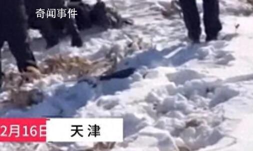男子冬釣失聯 遺體在冰縫中被發現