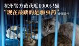女孩一年舉報幾十個貓販子窩點