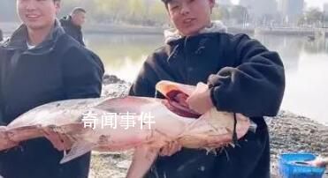 高校內(nèi)湖撈3000斤魚直送食堂 湖南一高校請全校吃全魚宴