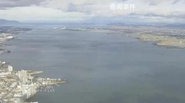 日本最大湖泊大量水鳥死亡 目前原因不明