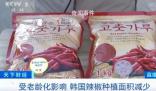 韓國大量進(jìn)口中國辣椒醬 中國產(chǎn)辣椒醬在韓國賣爆了