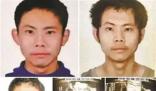 蓮花味精接住了潑天富貴 業績預增200%