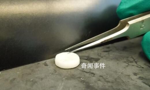 3D打印或將拯救脫發 有望治療脫發癥狀