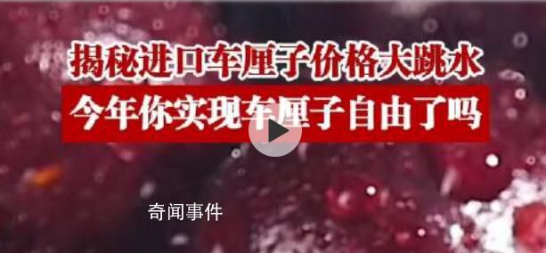 揭秘進口車厘子為何大跳水 今年終于能實現車厘子自由了