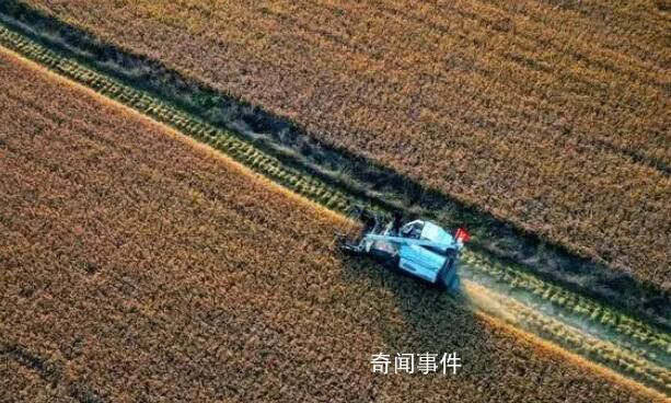 為什么年輕人不愿意種地?官方調(diào)研