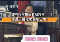 狗狗在店門口搖頭晃腦招攬客人 引發各界網民高度關注