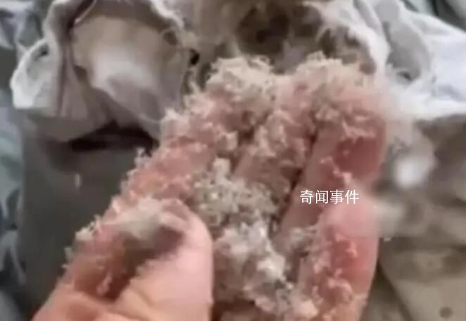 女子稱波司登羽絨服剪開全是碎末 此事在網(wǎng)上引發(fā)熱議