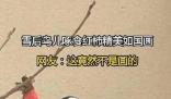 雪后鳥(niǎo)兒啄食紅柿神還原國(guó)畫(huà) 引發(fā)了廣泛關(guān)注