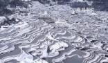 貴州梯田雪后形成大地指紋 大自然饋贈(zèng)的美景
