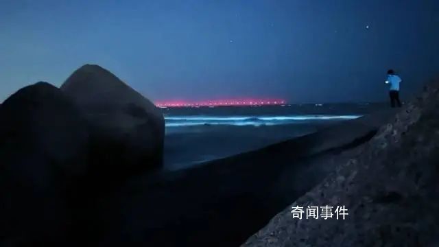 珠海一沙灘出現(xiàn)藍(lán)眼淚奇觀 宛如一條流動(dòng)的藍(lán)色星河