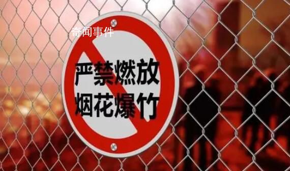 春節(jié)期間該不該禁放煙花爆竹