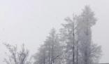 張家界迎來2024年首場大雪