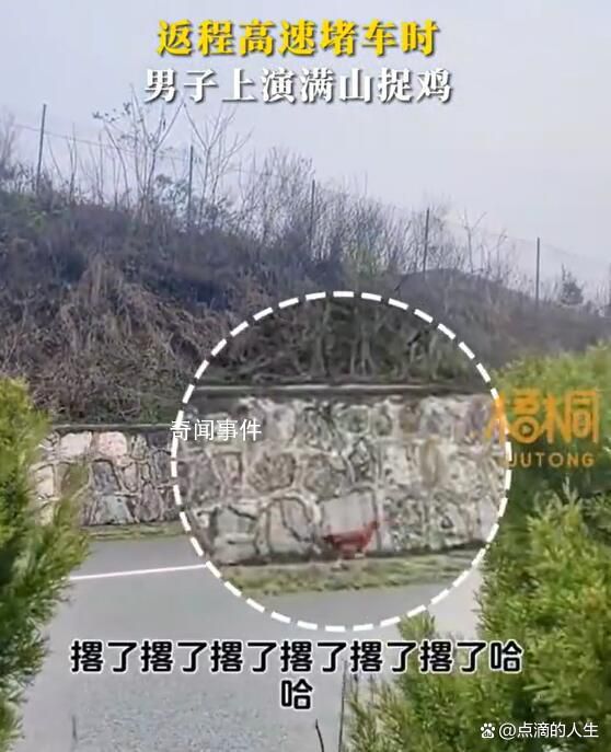 返程高速堵車時(shí)男子上演滿山捉雞 引起了網(wǎng)友們的熱議和調(diào)侃