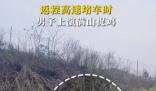 返程高速堵車時男子上演滿山捉雞 引起了網友們的熱議和調侃