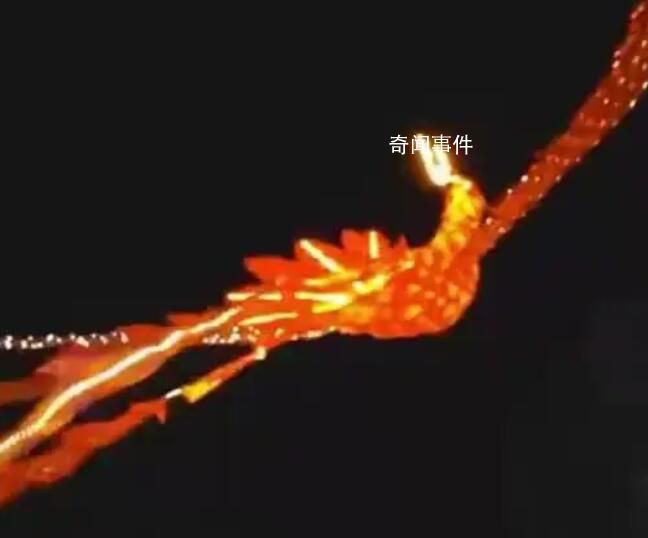 沈陽回應哈爾濱借金鳳凰:不夠還有