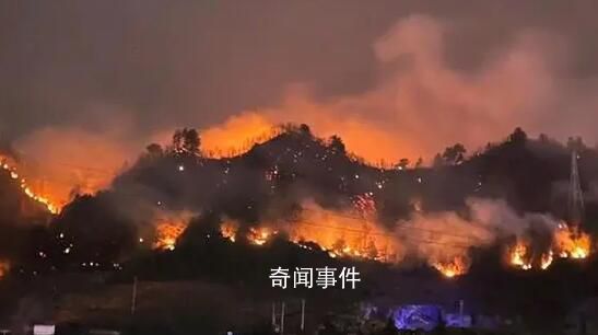 貴州山火受災(zāi)農(nóng)民大哭:家被燒沒了