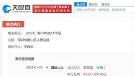 格力回應王自如被執行3383萬 執行法院為深圳市南山區人民法院