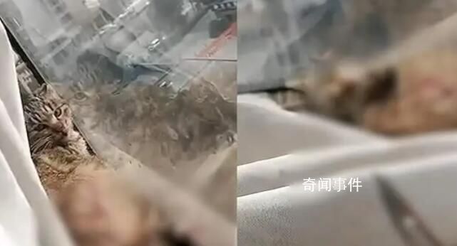 青海大壩潰堤未造成人員傷亡 共5個鄉(xiāng)鎮(zhèn)的生產(chǎn)生活造成影響