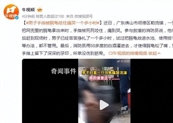 男子手指被鱷龜咬住痛哭一個(gè)多小時(shí) 引起了廣泛的關(guān)注和討論