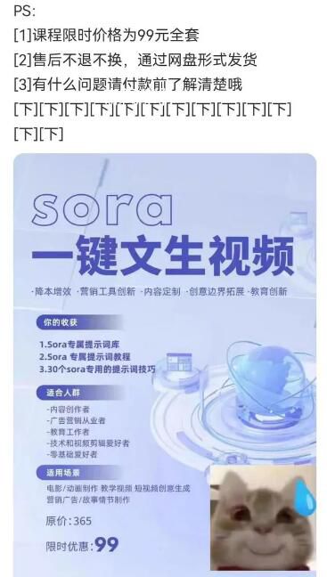 第一撥靠Sora賺錢的人已經(jīng)出現(xiàn)