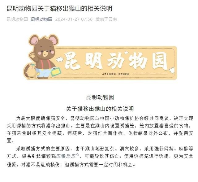 昆明動(dòng)物園:立即誘捕將貓移出猴山