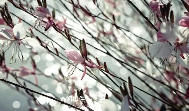 倒春寒來(lái)不來(lái)就看驚蟄 這個(gè)春季的天氣似乎異常寒冷