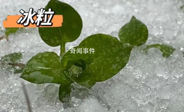 湖北已出現(xiàn)冰粒等七種降水形態(tài) 湖北降水相態(tài)類型復雜