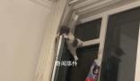 小貓?zhí)洗皯舯豢跅U中間 貓：還不快抱我下來