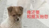 胡說八道文學(xué)是什么梗 胡說八道文學(xué)是什么意思